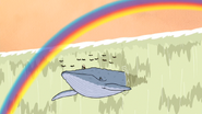 S5E29.119 A Blue Whale and a Rainbow Appears