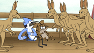 S6E13.143 Mordecai and Rigby Meeting Mad Kangaroos