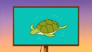 S6E15.100 Sea Turtles is the Source for Youth