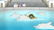 S6E05.059 Muscle Man Swimming with the Dolphins