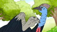 S6E24.119 Cassowary's Feet Again