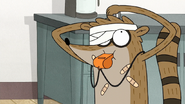 S7E28.025 Rigby Applying Bandages on Him