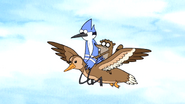 S2E23 Mordecai And Rigby Fly On Mother Duck0