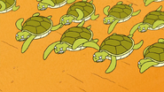 S6E15.200 A Bunch of Angry Baby Sea Turtles