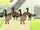 Geese3.png