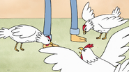 S8E23.183 Three French Hen Pecking Eileen