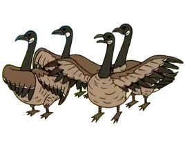 Geese