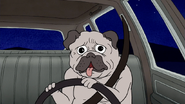 S3E34.017 Car-Driving Dog