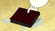 Skips picks up Margaret's Diary