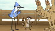 S6E13.145 Rigby Confronts a Mad Kangaroo