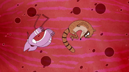 S4E26.129 Mordecai and Rigby in Thomas' Bloodstream