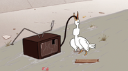 S6E07.150 A Goose Trying to Swallow the TV Plug