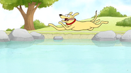 S4E12.164 A Dog Jumping in the Pond