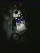 Rocket Rabbit | The Pizzaria Roleplay: Remastered Wiki | Fandom