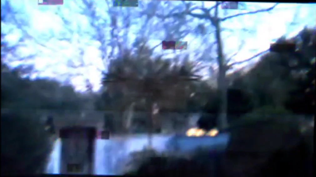 The Treeman | TheRiddleOfTheTreeman Wiki | Fandom