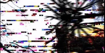 The Treeman | TheRiddleOfTheTreeman Wiki | Fandom