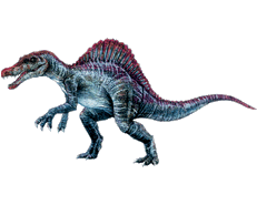 11462spinosaurus