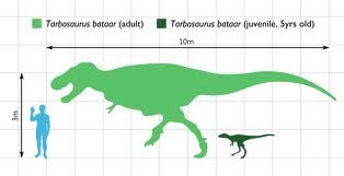 Tarbosaurus Theropods Wiki Fandom