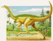 Dromiceiomimus