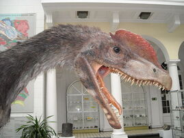 Dilophosaurus wetherilli 2