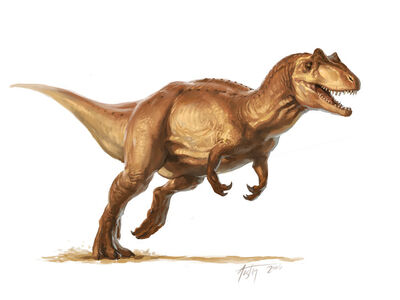Allosaurus by tavari