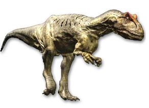 Allosaurus