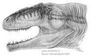 Giganotosaurus2 (1)