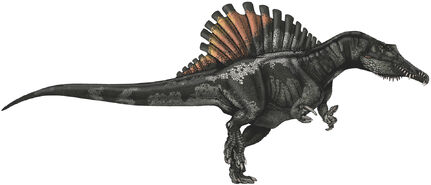 Spinosaurus-dinosaurs-22233517-1488-639