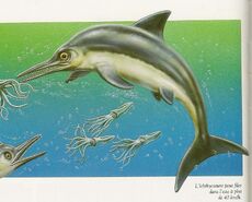 Unenlagia Dolphin