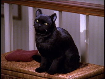 Salem Saberhagen Thesabrinatheteenagewitch Wiki Fandom