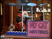 My Cat Does Tricks.png