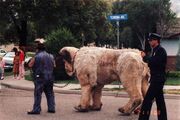 Sandlot giant the beast puppet in street