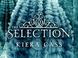 The Selection (book)
