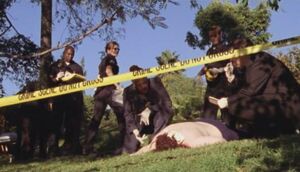 2x07 Fairview Park