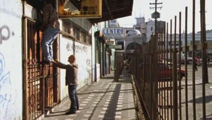 2x01 Rosalina Imports