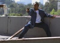 1x11 Rondell-roof