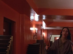 The same location in the Red Hallway, revealing the re-purposing.