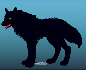 yellow and black anime wolf