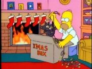 Homer a kočka.jpg