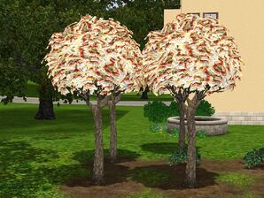 1000px-Money-tree-ts3