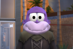 KILLING BONZI BUDDY 