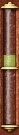 Focus Meter.jpg