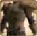 LordKnight'sBulwark1.jpg