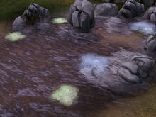 Leech Pond.jpg