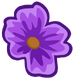 Purple Flower