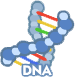 DNA