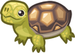 Tortoise