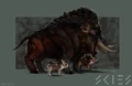 Wild-pig.png