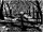 Woodcut.jpg