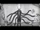 Sympathy for Slender Man